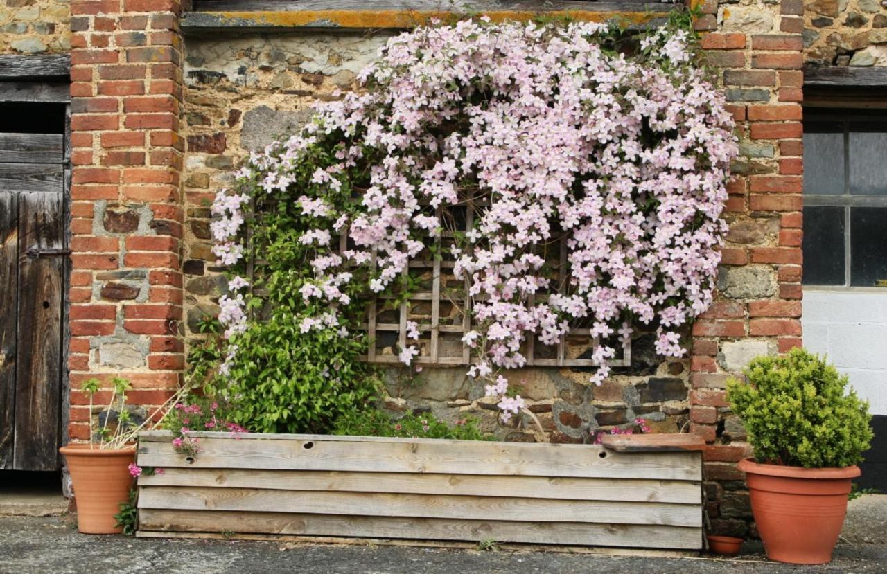 Tedburn Brook Farmhouse المظهر الخارجي الصورة